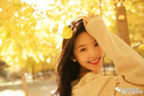 娱乐圈吃瓜陈伟霆章若楠